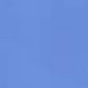 Meet your Posher, Holly